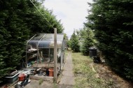 Images for Lime Tree Road, Birmingham